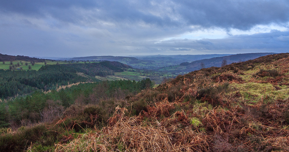 Stanton Moor Stanton Moor